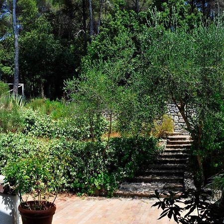 B&B Al Cavalluccio Marino Monte Marcello Extérieur photo
