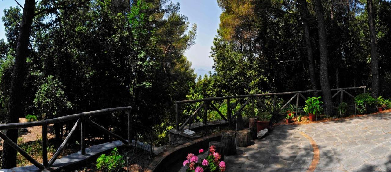 B&B Al Cavalluccio Marino Monte Marcello Extérieur photo