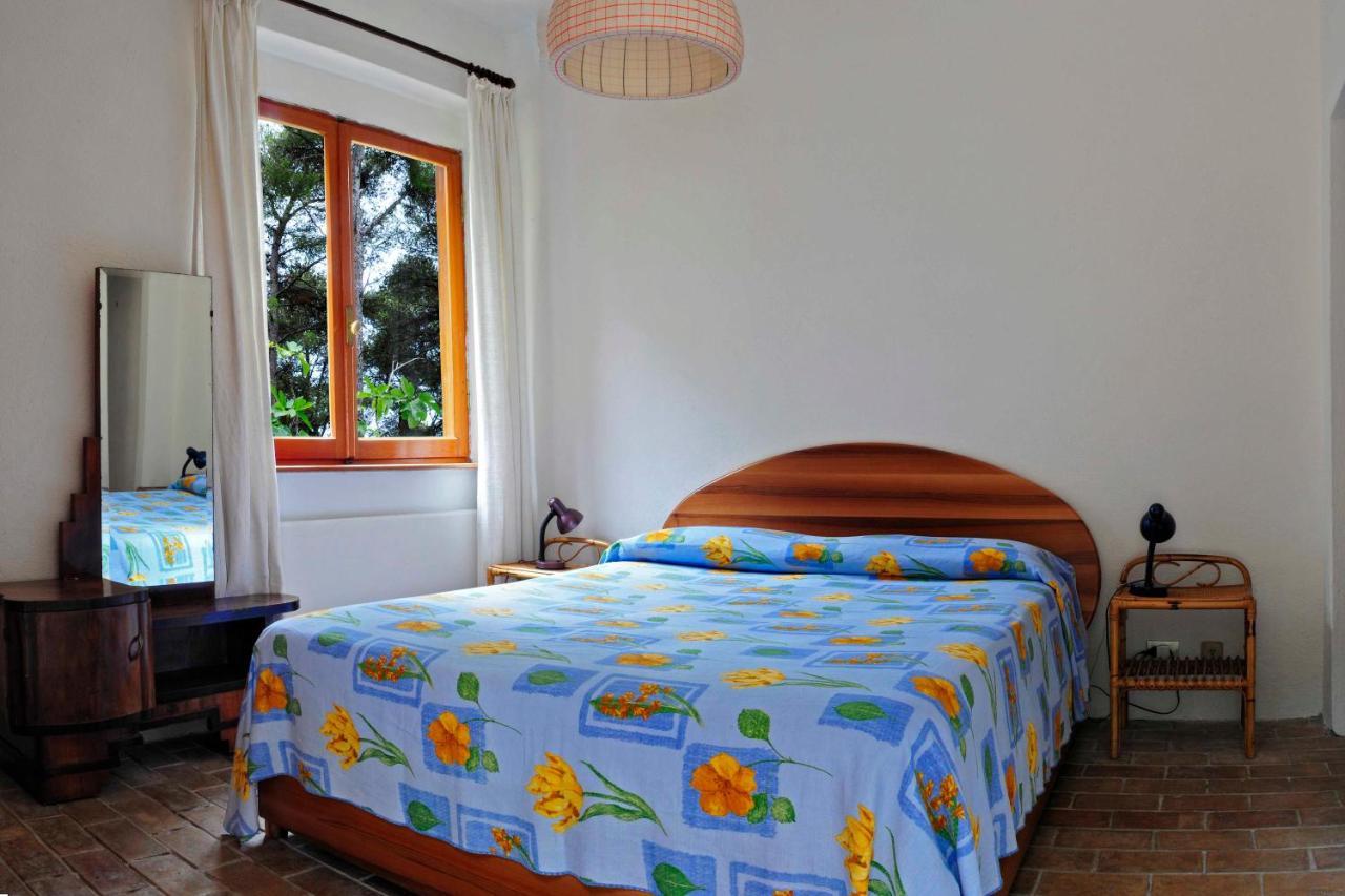 B&B Al Cavalluccio Marino Monte Marcello Extérieur photo